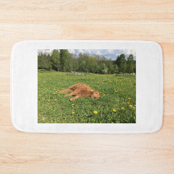 Item preview, Scottish Highland Cattle Calf 1777 designed and sold by SaarelaHighland.