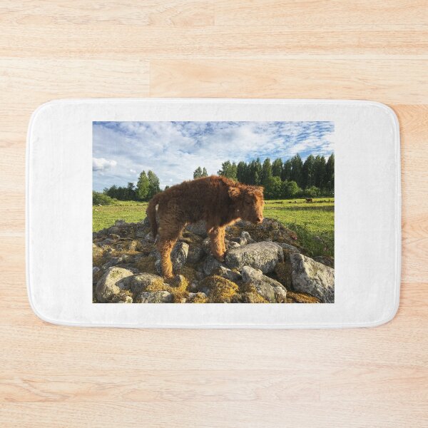 Item preview, Scottish Highland Cattle Calf 1779 designed and sold by SaarelaHighland.