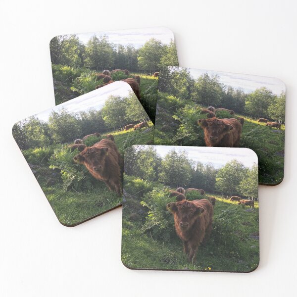 Item preview, Scottish Highland Cattle Calf 1783 designed and sold by SaarelaHighland.