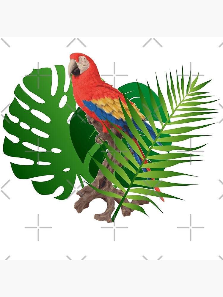 "Parrot In The Jungle" Poster By Saechla | Redbubble