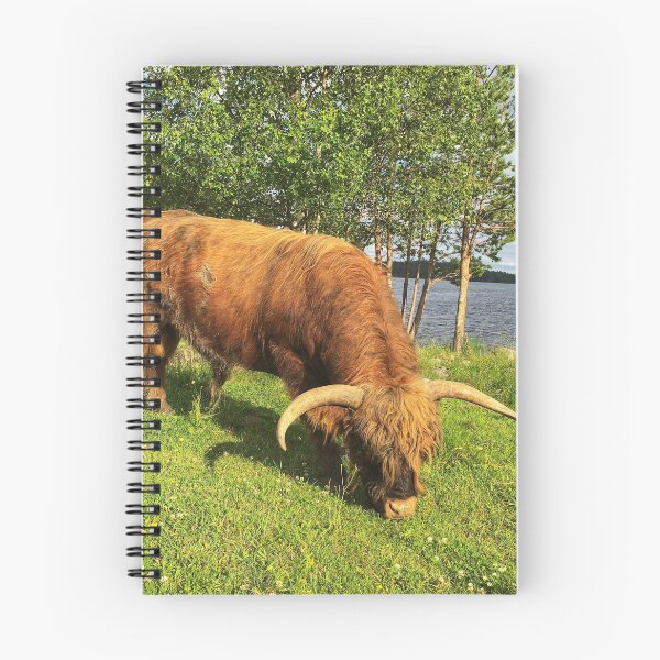Item preview, Scottish Highland Cattle Bull 1787 designed and sold by SaarelaHighland.