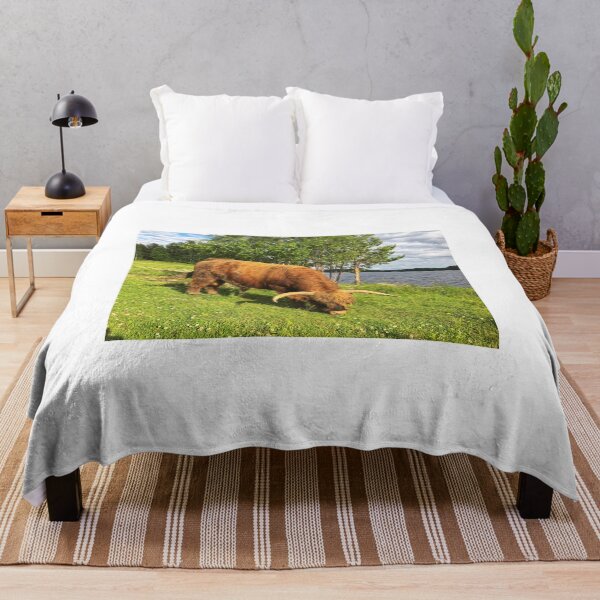 Item preview, Scottish Highland Cattle Bull 1787 designed and sold by SaarelaHighland.