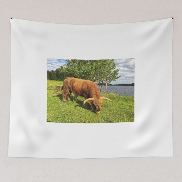 Item preview, Scottish Highland Cattle Bull 1787 designed and sold by SaarelaHighland.