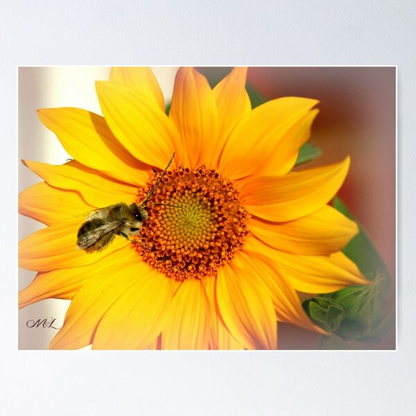 Item preview, LOVE FLOWERS designed and sold by Marie Leblanc.