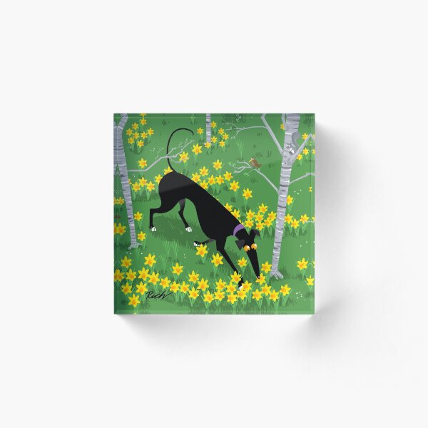 Daffodil Hound Acrylic Block