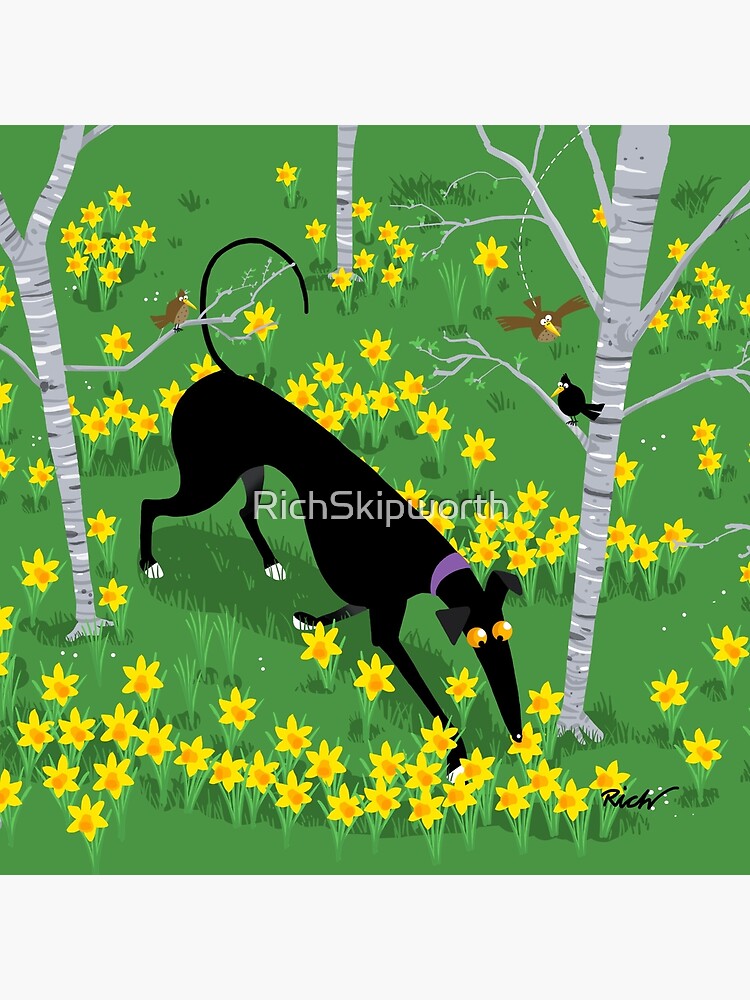 Daffodil Hound by RichSkipworth