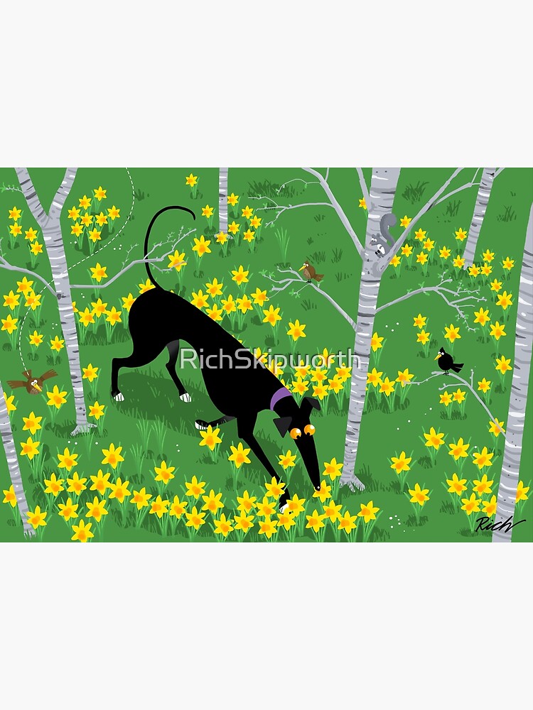 Daffodil Hound by RichSkipworth