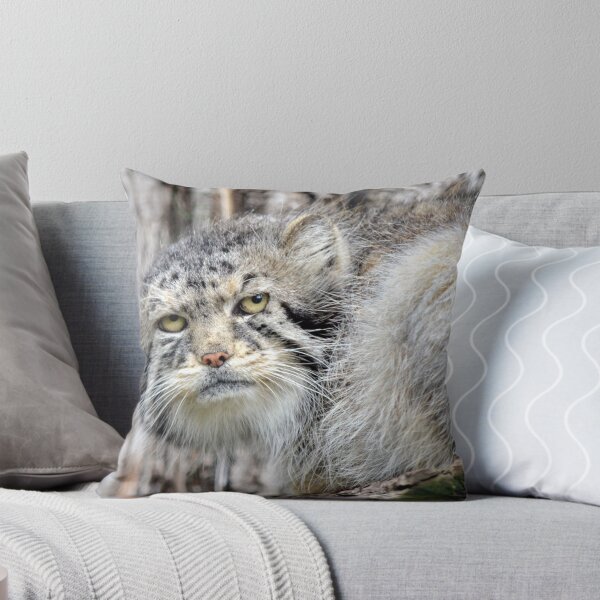 Item preview, The Original Grumpy Cat! designed and sold by sketchpoet.