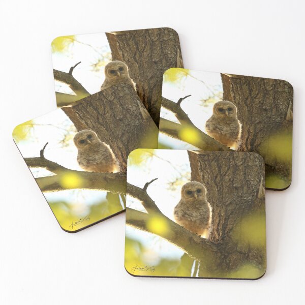 Item preview, Baby barred owl backlit (new video of baby owl in description) designed and sold by locustgirl.
