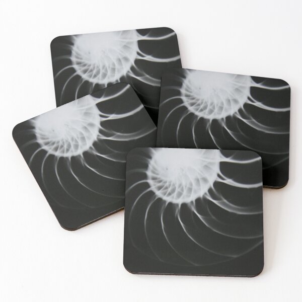 Item preview, X-Ray of Chambered Nautilus in black and white designed and sold by Allen Penton.