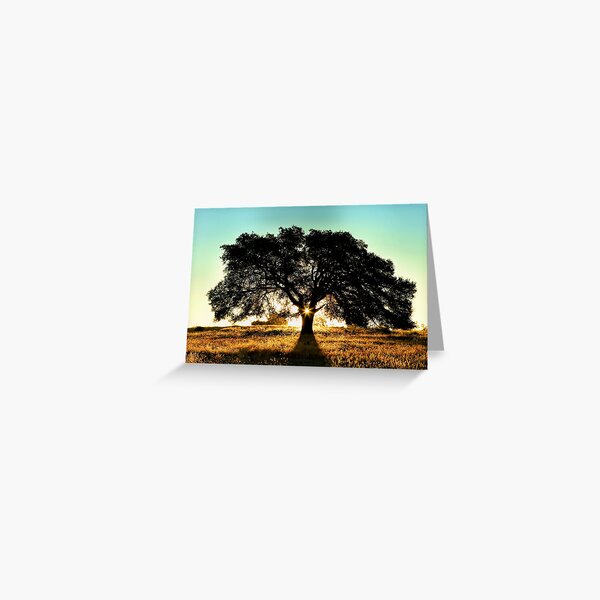 Item preview, Sun Star and Oak Tree designed and sold by Stephanie Laird.