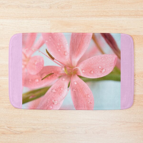 Item preview, Hesperantha coccinea 'Fenland Daybreak' Crimson flag lily Syn. Schizostylis coccinea 'Fenland Daybreak' designed and sold by Chris Burrows.