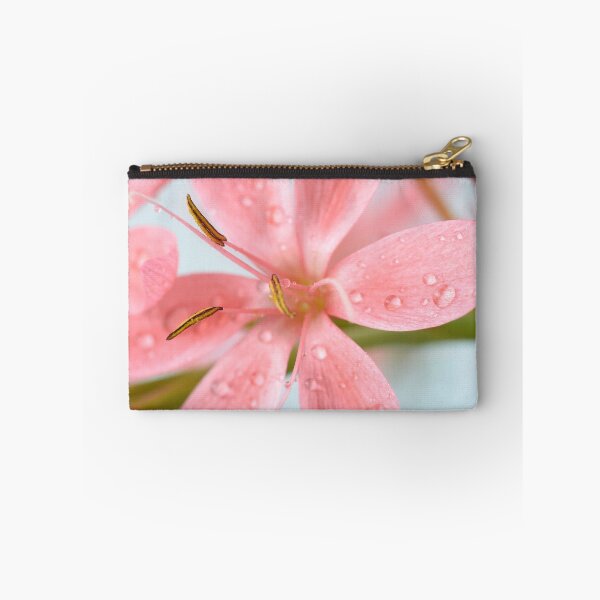 Item preview, Hesperantha coccinea  'Fenland Daybreak'  Crimson flag lily  Syn.  Schizostylis coccinea  'Fenland Daybreak'  designed and sold by Chris Burrows.
