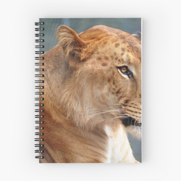 Item preview, Liger designed and sold by sketchpoet.