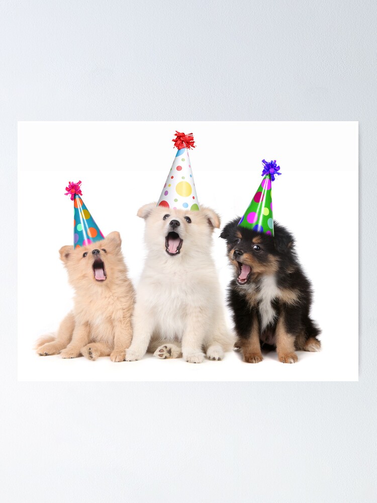 Puppy Dogs Singing Happy Birthday To You Poster By Tobkatrina Redbubble