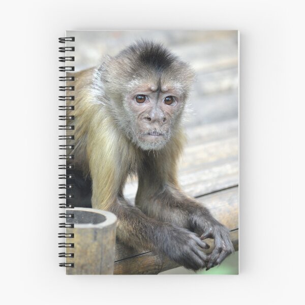 Item preview, One Serious Monkey! designed and sold by sketchpoet.