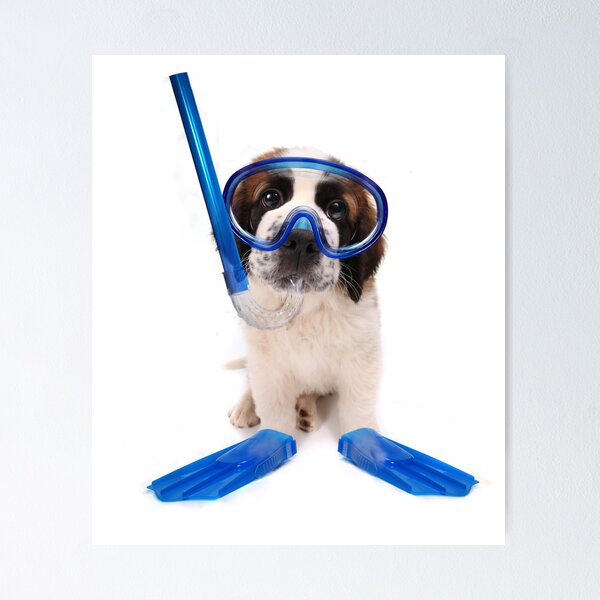 Item preview, Funny Saint Bernard Puppy Wearing Snorkeling Gear designed and sold by tobkatrina.
