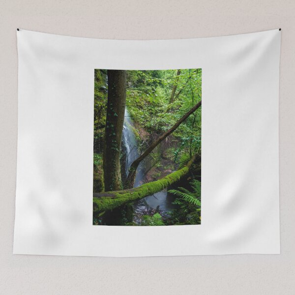 Item preview, forest designed and sold by paolo amiotti.