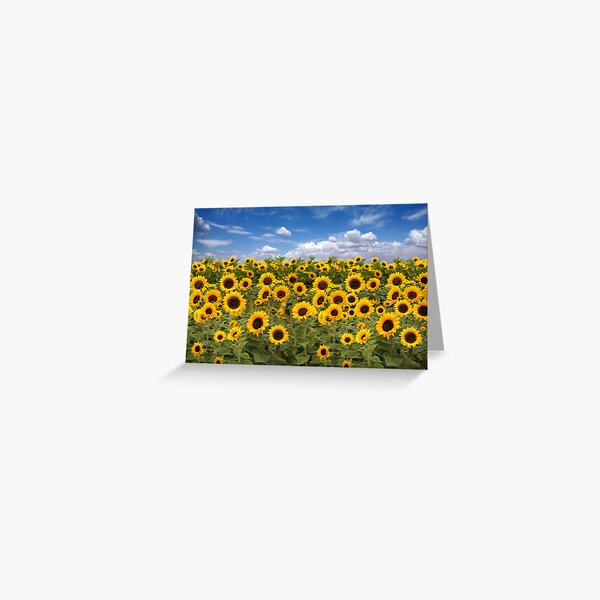 Item preview, Sunflower Field With Heavenly Sky designed and sold by tobkatrina.