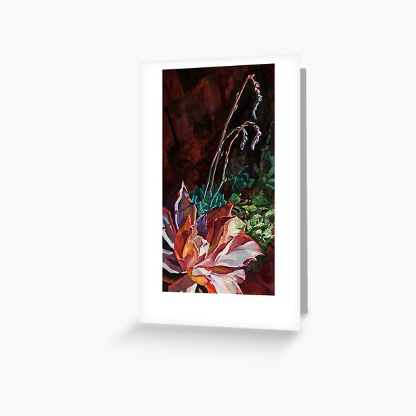 Dudleya in Heat Greeting Card