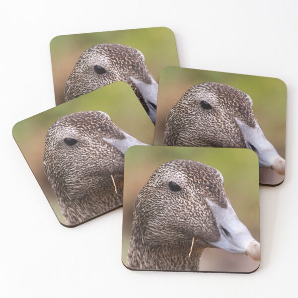 Item preview, Female eider duck designed and sold by GreyFeatherPhot.