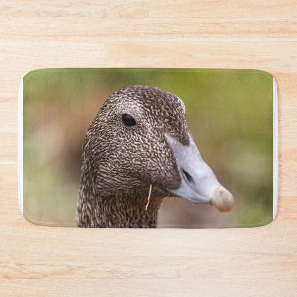 Item preview, Female eider duck designed and sold by GreyFeatherPhot.