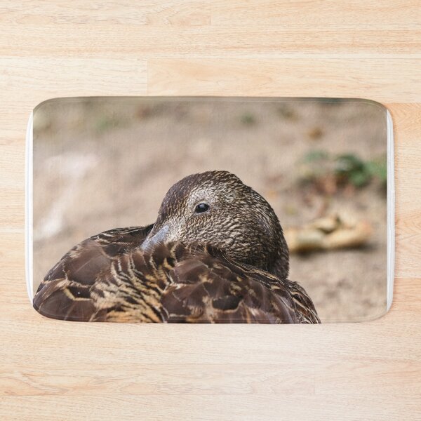 Item preview, Sleepy eider designed and sold by GreyFeatherPhot.