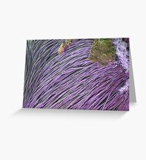 Flowers Greeting Card