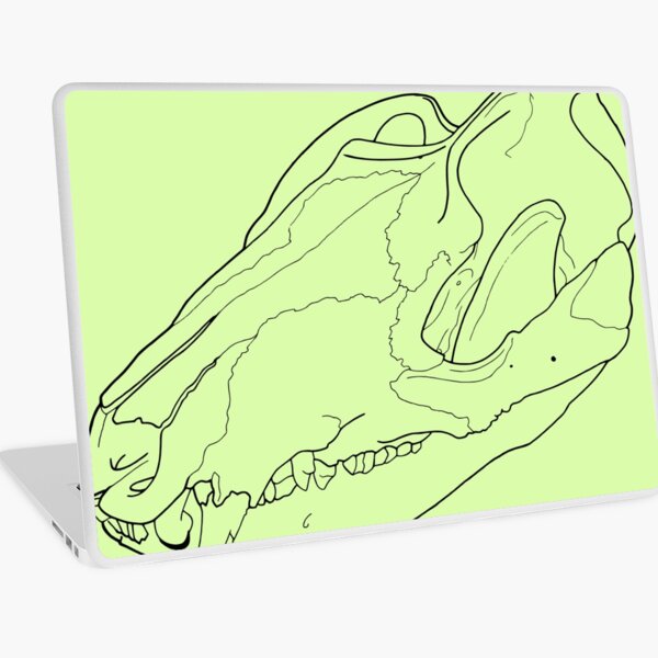 Opossum Skull transparent drawing line-art Laptop Skin