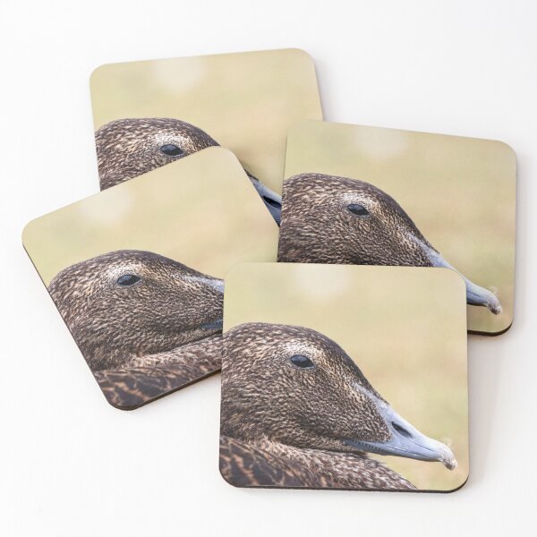Item preview, Eider portrait designed and sold by GreyFeatherPhot.