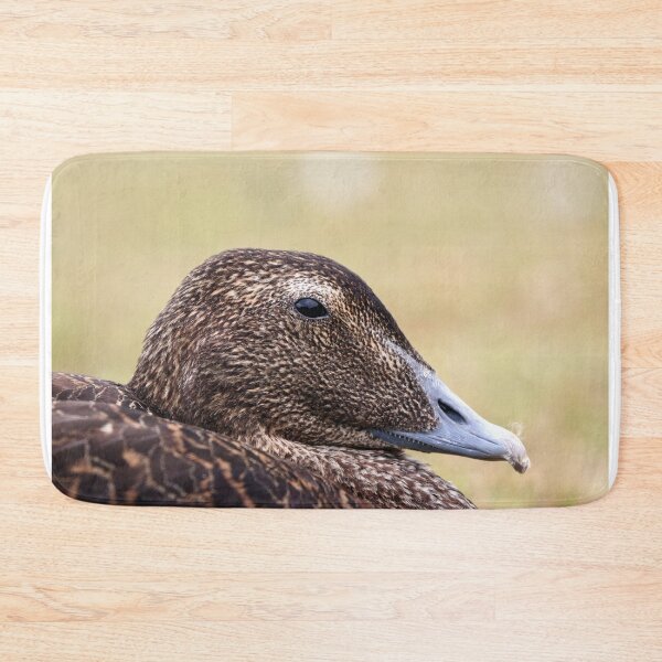 Item preview, Eider portrait designed and sold by GreyFeatherPhot.