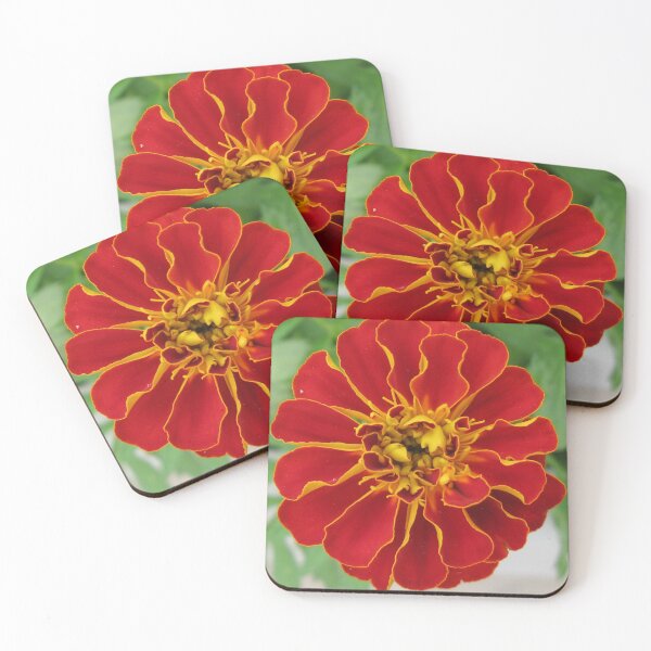 Item preview, Giant Marigold designed and sold by mary81.