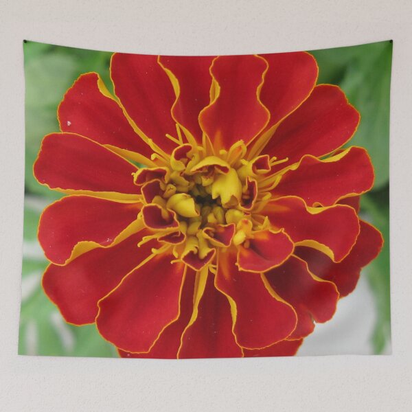 Item preview, Giant Marigold designed and sold by mary81.