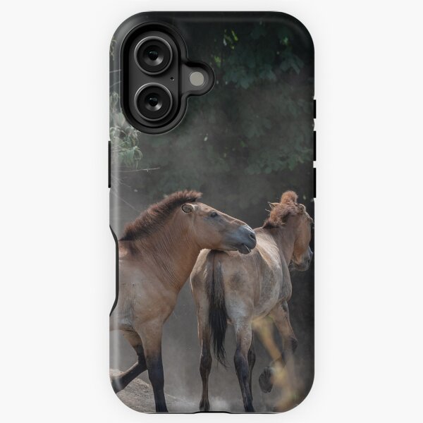 Aperçu de l'œuvre Un cheval sauvage observe l'un de ses semblables qui roule sur le sol sableux créée et vendue par brambillasimone.
