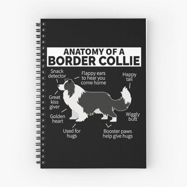 Item preview, Border Collie Dog Anatomy designed and sold by designeclipse.