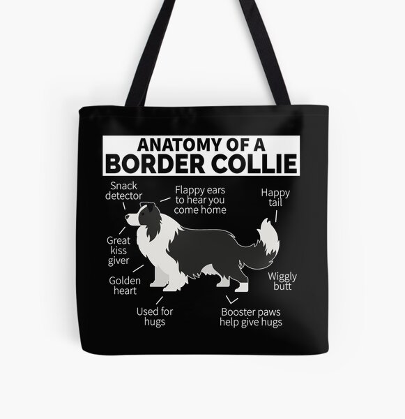 Border Collie Dog Anatomy