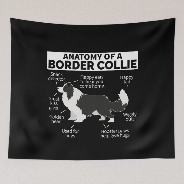 Item preview, Border Collie Dog Anatomy designed and sold by designeclipse.