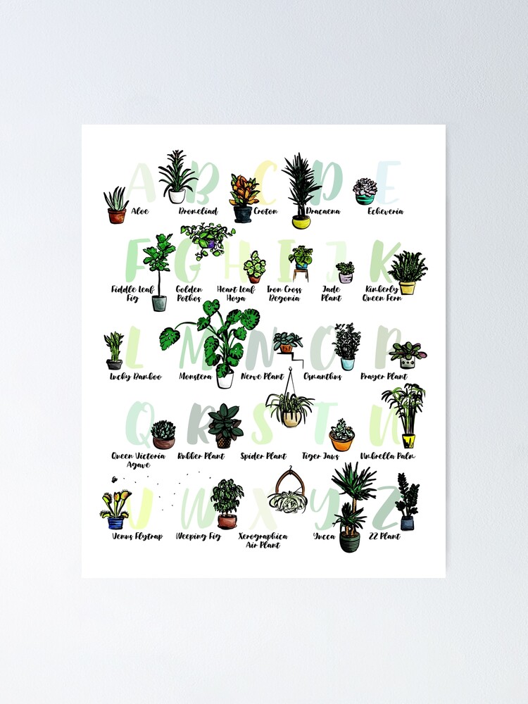 "Houseplant Alphabet" Poster By Vectorvixen | Redbubble