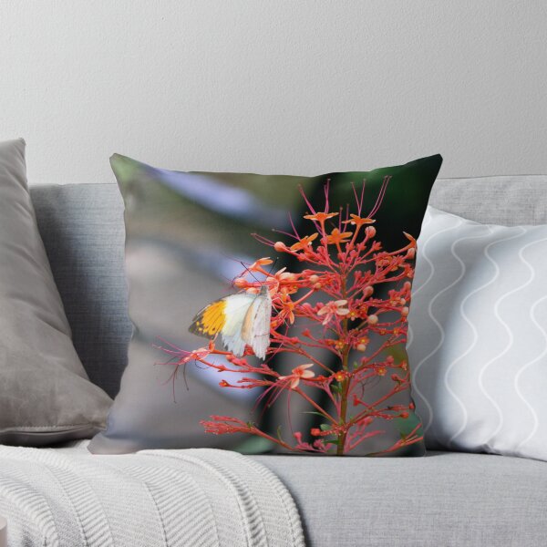 Item preview, Butterfly Orange Icee designed and sold by hmclark.