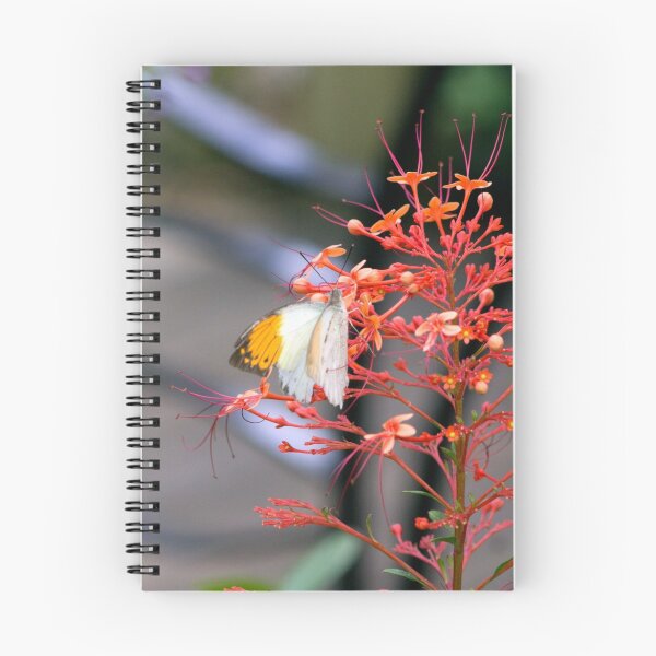 Item preview, Butterfly Orange Icee designed and sold by hmclark.