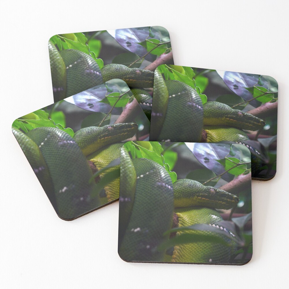 Item preview, Coasters (Set of 4) designed and sold by Matryoshka.