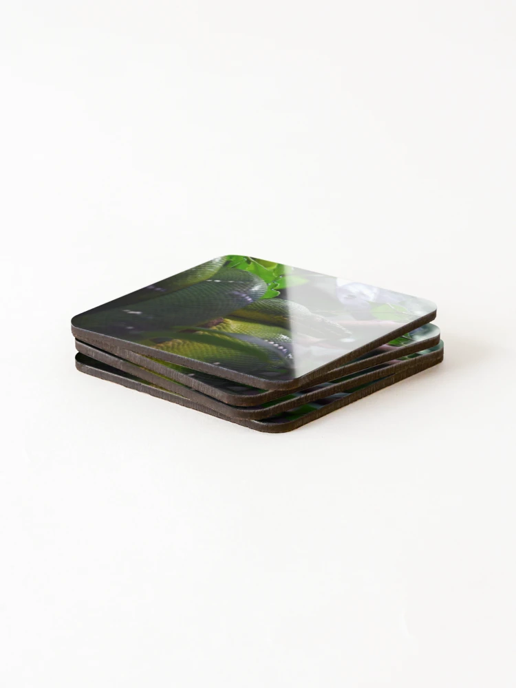 Thumbnail 4 of 5, Coasters (Set of 4), Green Python designed and sold by Matryoshka.