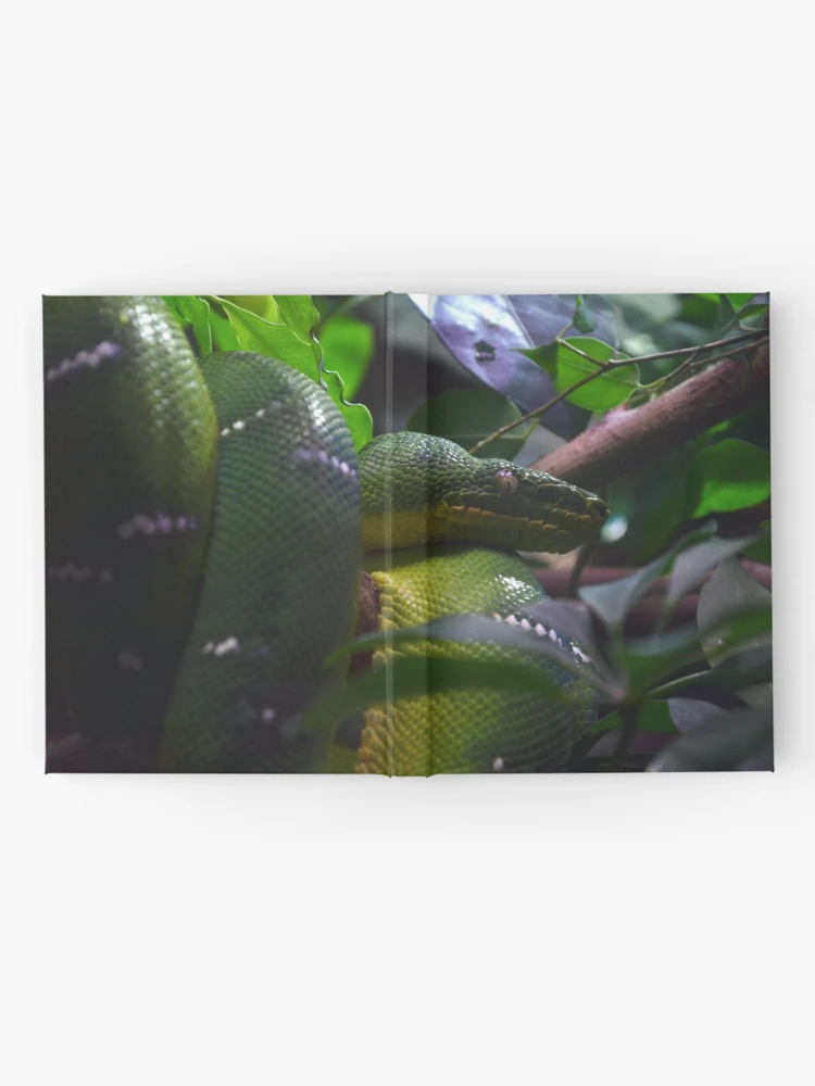 Thumbnail 2 of 3, Journal, Green Python designed and sold by Matryoshka.