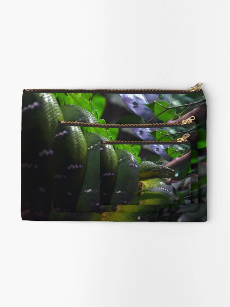 Thumbnail 2 of 4, Zipper Pouch, Green Python designed and sold by Matryoshka.