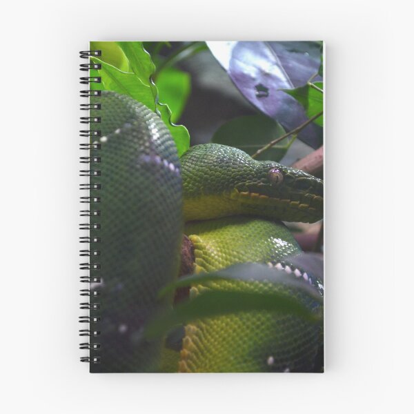Item preview, Green Python designed and sold by Matryoshka.