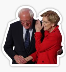 Bernie Sanders and Elizabeth Warren Sticker