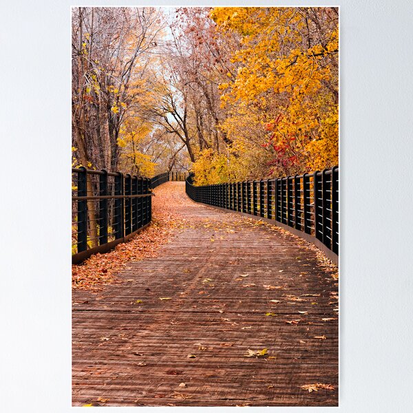 Artikelvorschau, Fall walk entworfen und verkauft von Robert McCabe.