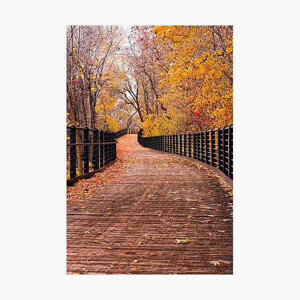 Artikelvorschau, Fall walk entworfen und verkauft von Robert McCabe.
