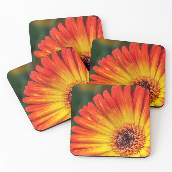 Item preview, Gerbera Floral 0801A designed and sold by HowardRoberts.