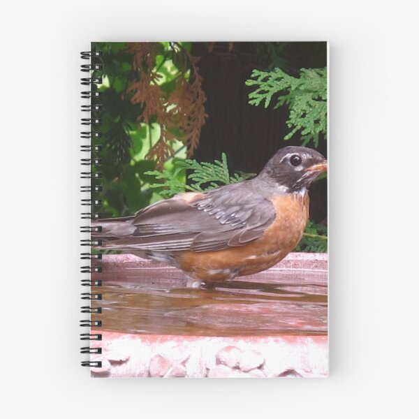 Item preview, Bird play designed and sold by MarianBendeth.